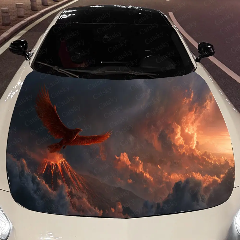 Phoenix Mountain Au…