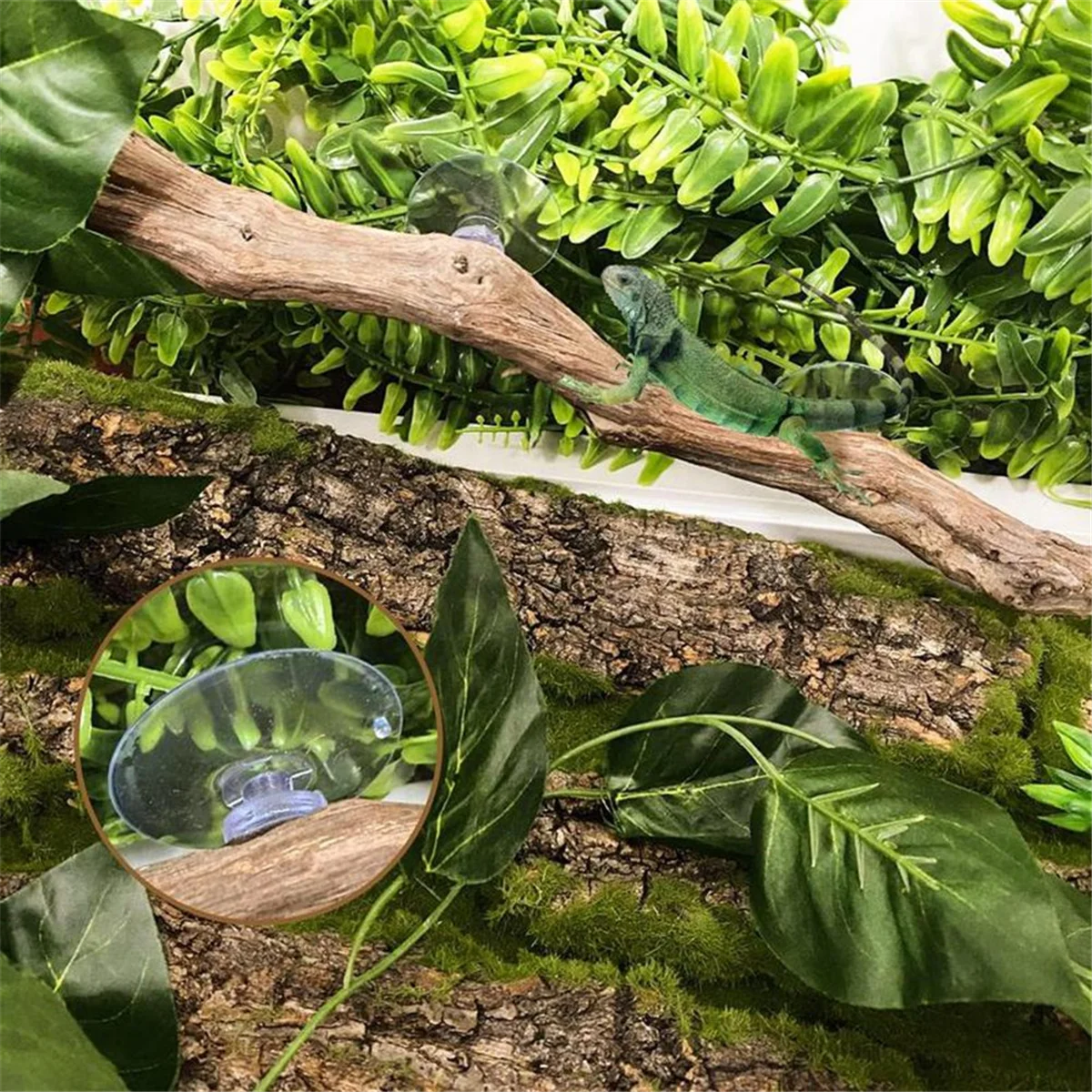 ABKO-สาขาสัตว์เลื้อยคลานสําหรับปีนเขาที่ไม่ซ้ํากัน Bearded Dragon สาขาธรรมชาติลื่น Habitat ตกแต่งสัตว์เลื้อยคลาน Decor