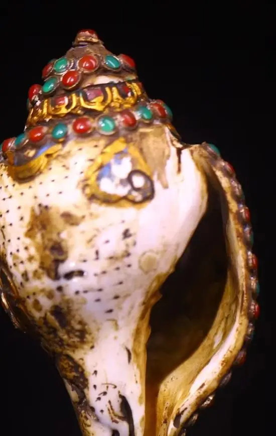 Natural Conch Mosaic Gem gZi Beads Shell Manjusri Buddha Conch Meteorite Turtle Statue Base Amulet Dharma Town house