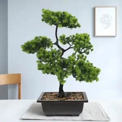 

Faux Tree Simulated Welcoming Pine Artificial Potted Plant Indoor Outdoor Decor Green Plastic Plant Fake Bonsai Tree Bonsai