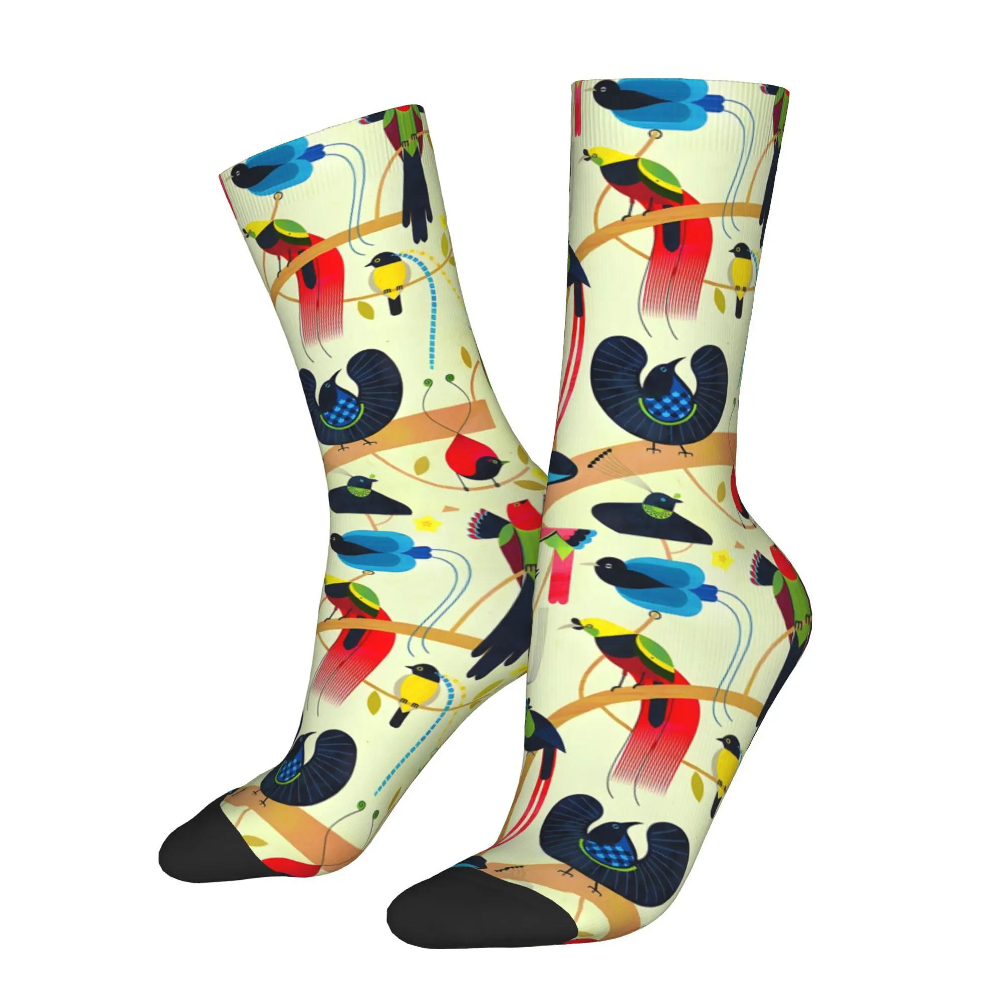 1pc Birds Of Paradise  Printed Men's Socks Novelty Hip Hop Harajuku Pattern Crew Sock Casual Gift
