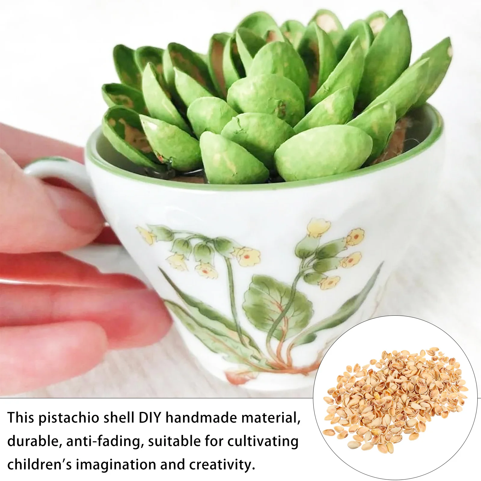 1 حقيبة من DIY بها بنفسك قذائف الفستق الحرف الاطفال الحرف المواد غرامة صنعة غير يتلاشى مشروع فني توريد قذائف الفستق #6