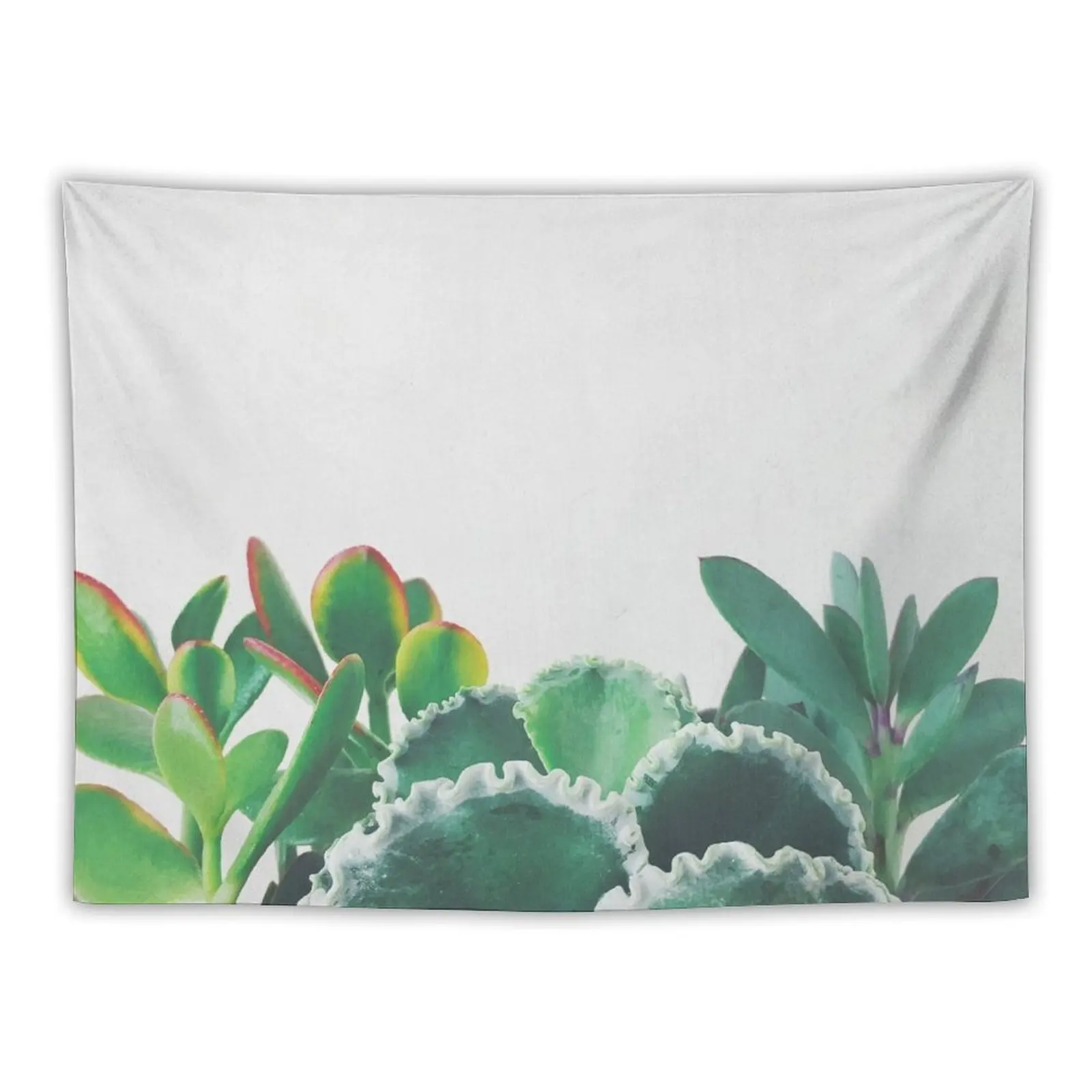 

Plant Trio Tapestry Aesthetic Room Decor Funny Tapestry