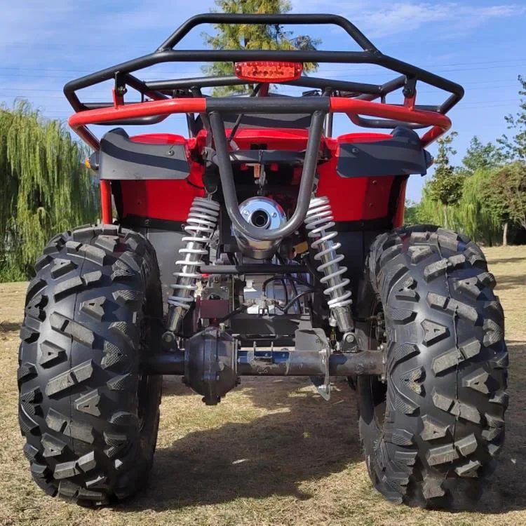 570cc 4X2 4X4 Gasoline Quad Bike Buggy Utility Vehicle ATV For Adult