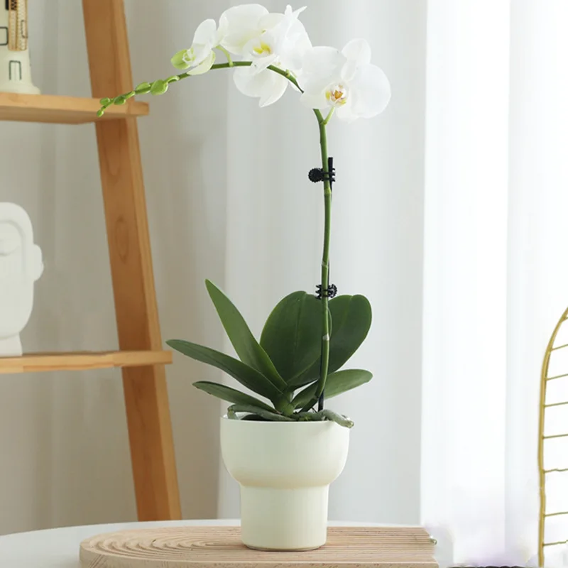 Simple White Ceramic Mini Flower Pot for Office Desk Single Orchid Planter Home Decor