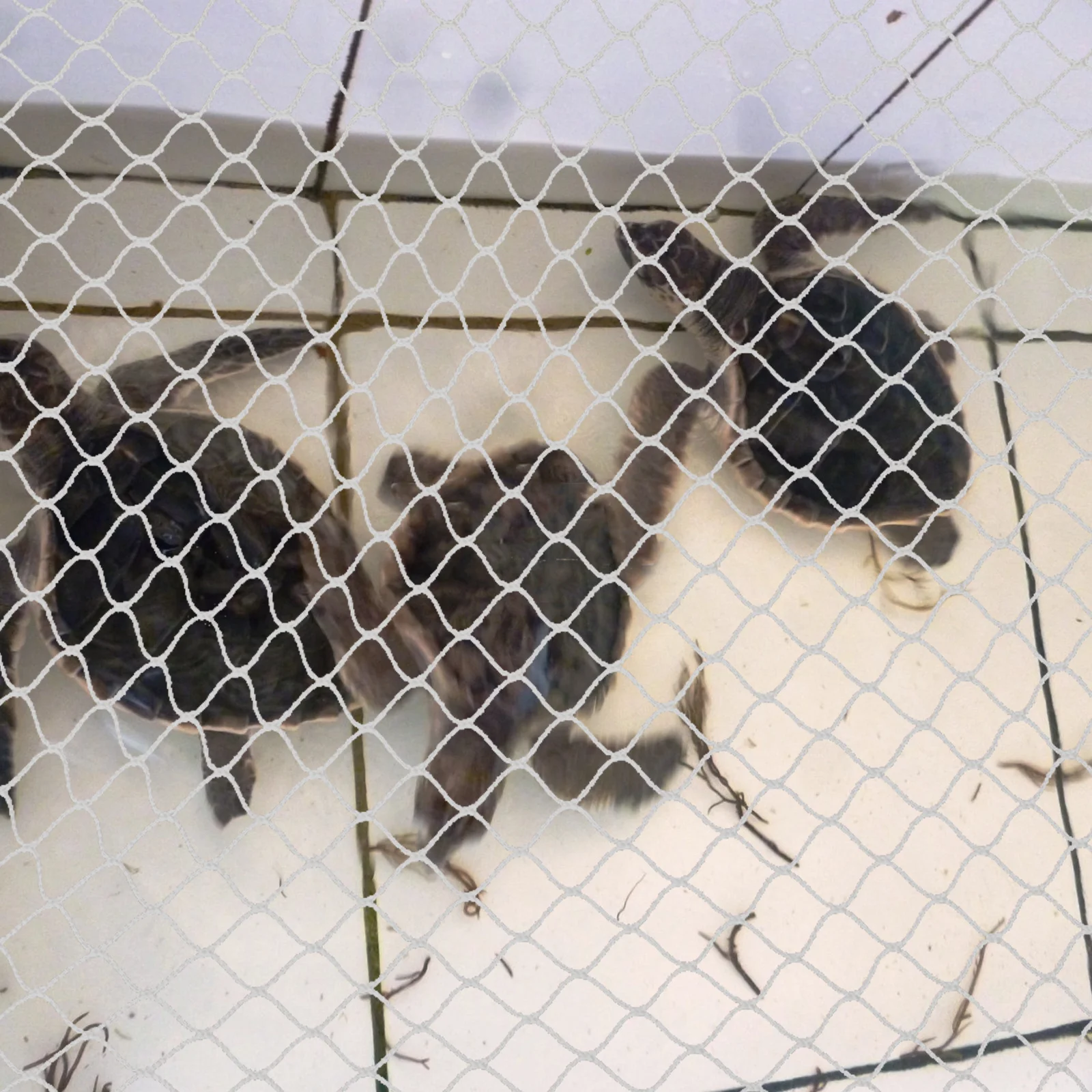 

Fish Tank Anti-Jumping Net Durable Breathable Nylon Aquarium Protective Mesh Escape-Proof Cover Prevent Fish Escaping