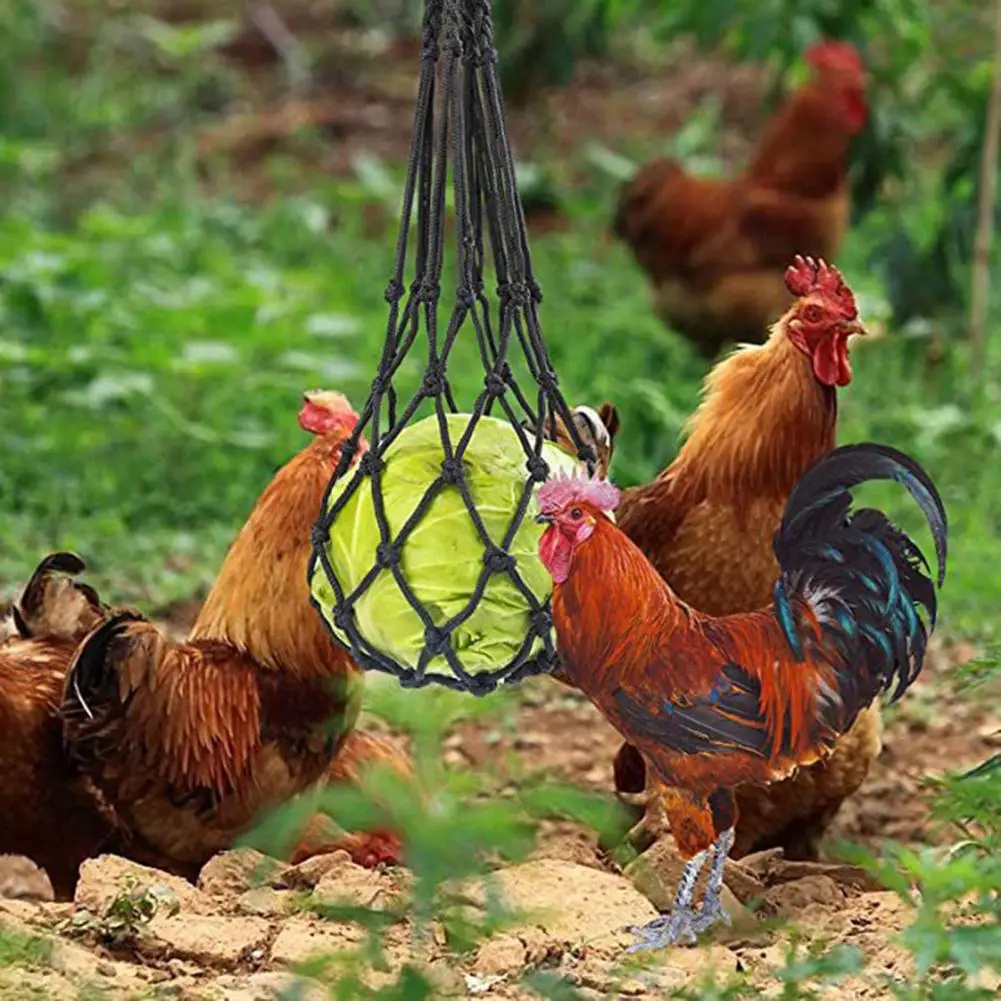 Chicken Hanging Feeder Chicken Vegetable Feeder Efficient Hanging Feeder for Chickens Mesh Net Bag Healthy Vegetable Feeding