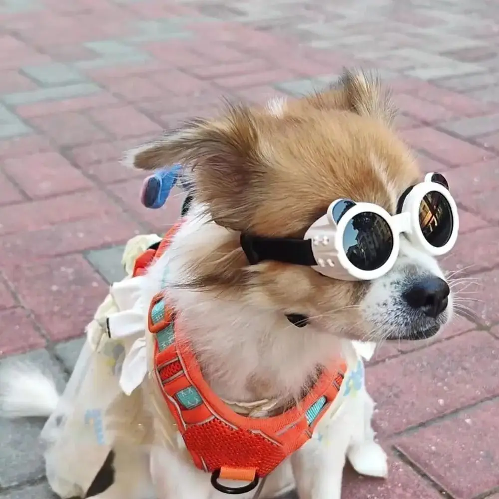 

Dog Eye Wear Anti UV Pet Goggles Adjustable Cool Cat Dog Glasses Windproof Rope Round Dog Sun Eyewears Pet Photo Props