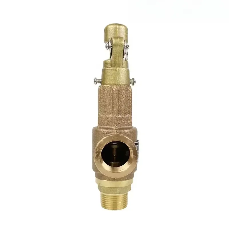 2026 Latest Bronze Thread S10L Pressure Relief Valve for Water Heater Tank Spring Loaded T&P Safety Valve Temperature and