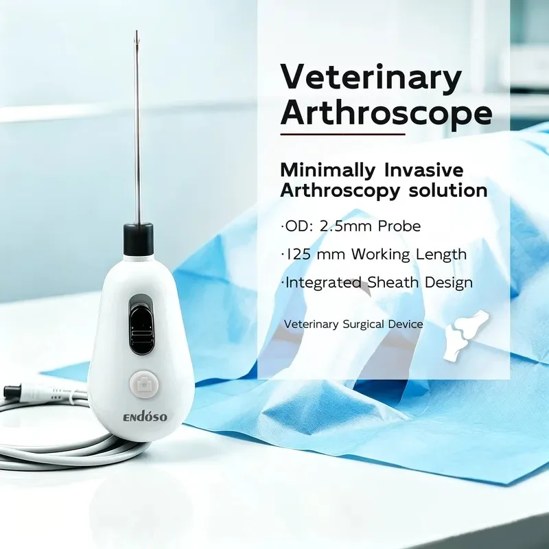 Portable Veterinary Electronic System for Small Animal Surgery Dog Joint Examination