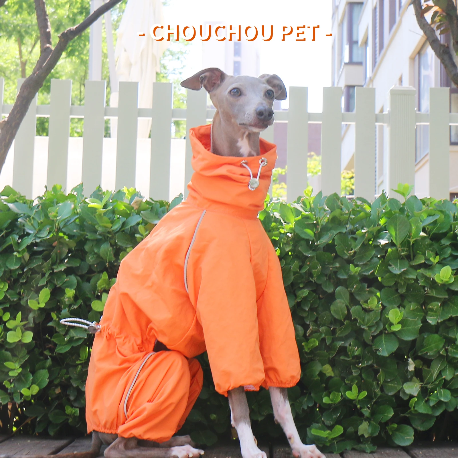 

Уличные плащи, водонепроницаемые для итальянской одежды для собак, борзая, уиппет