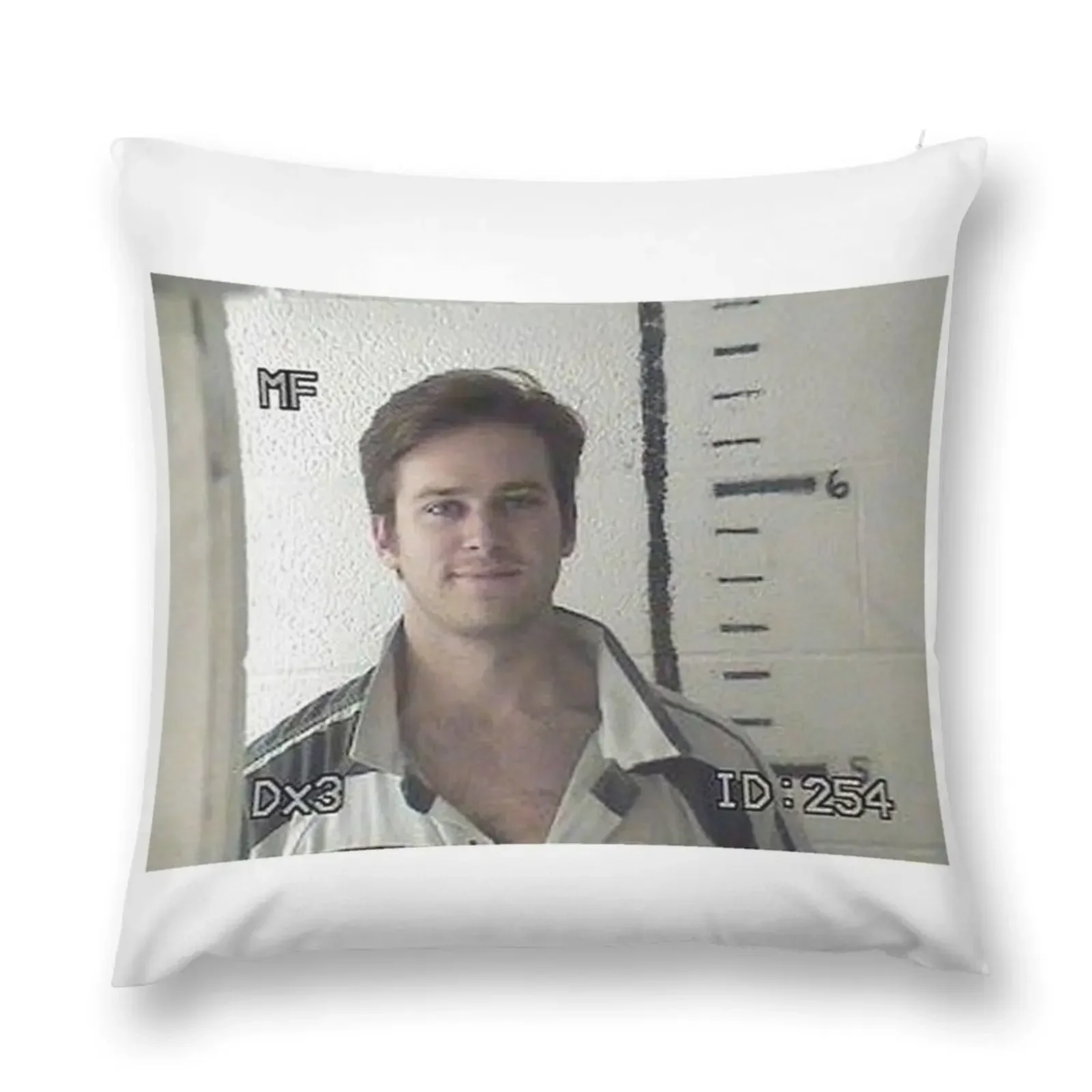 Armie Hammer Mugshot Throw Pillow Cushions Home Decor Plaid Sofa pillow