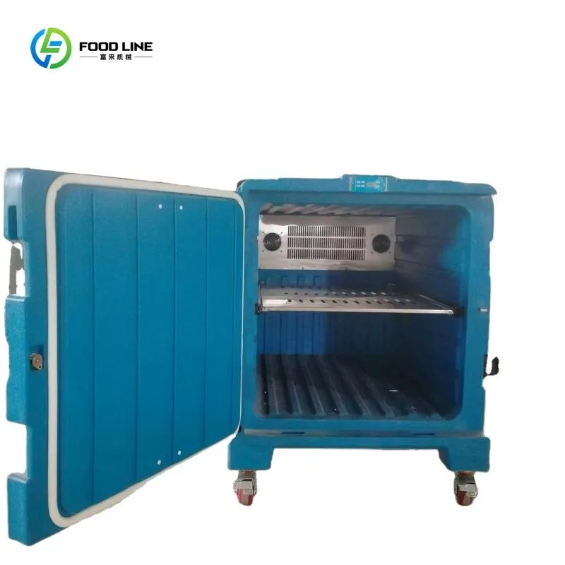 Customized 8~-20 Degree DC 48v Rotomold Cargo Transfer Reefer Portable Refrigerated Box Battery Driven Refrigerated Freezer Box