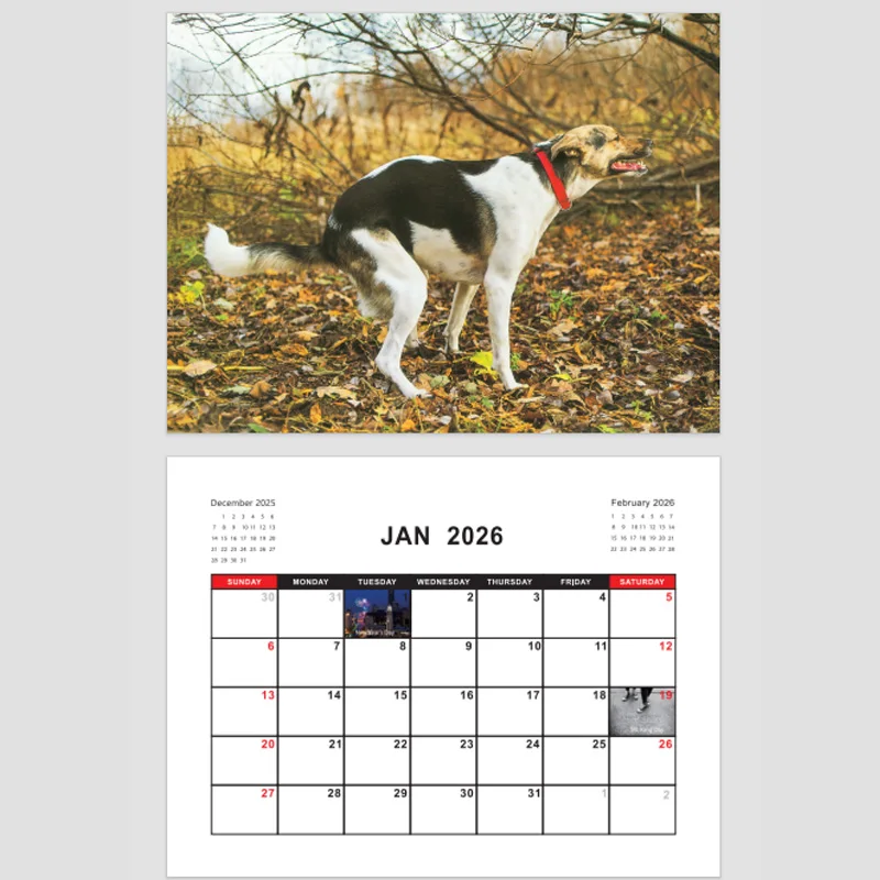 2026 Pooping Dog Calendar-Year مخطط شهري وجدول الأعمال منظم تقويم الحائط مضحك حفلة الكمامة هدايا للأصدقاء