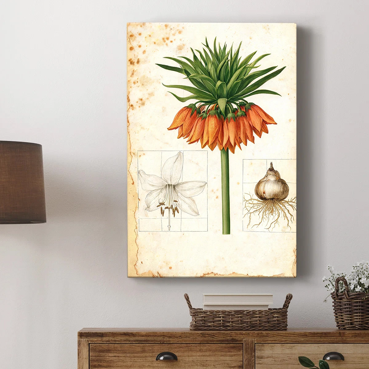 Botanical Wall Art Vintage Renaissance Fritillaria Imperialis Crown Imperial Flower Illustration Canvas Poster Framed Print Living Room Bedroom Home Decor