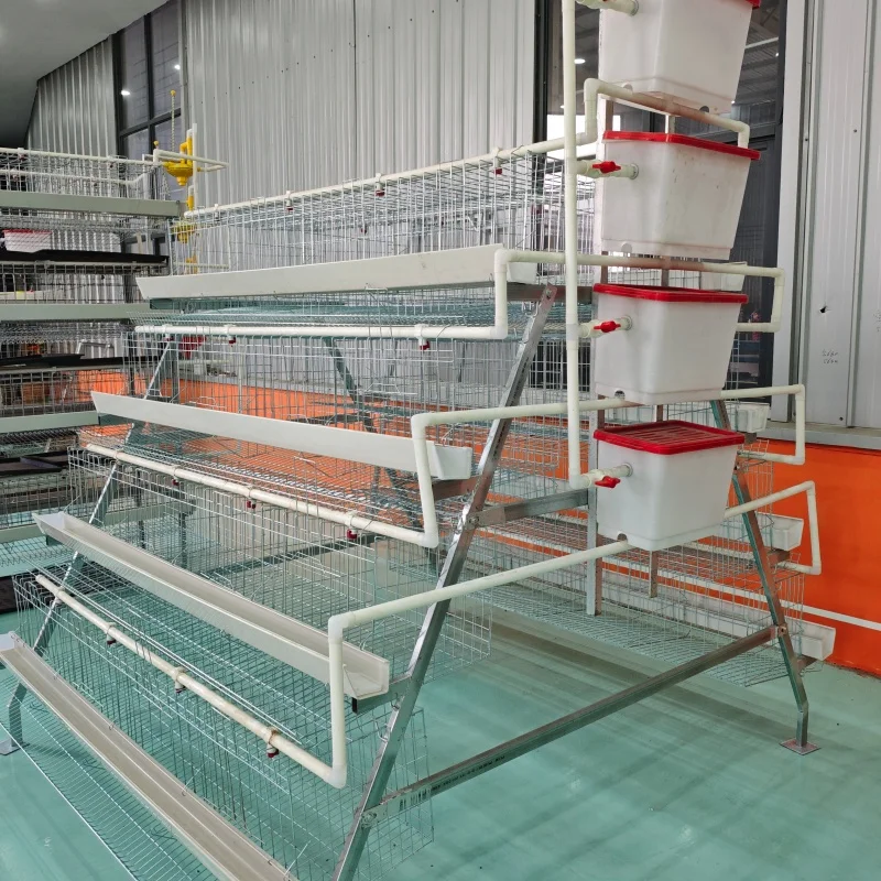 

China Supplier 4 Tier Q235 Galvanized Steel Wire Layer Chicken Cage Automatic System Poultry Farming Equipment Laying Hen