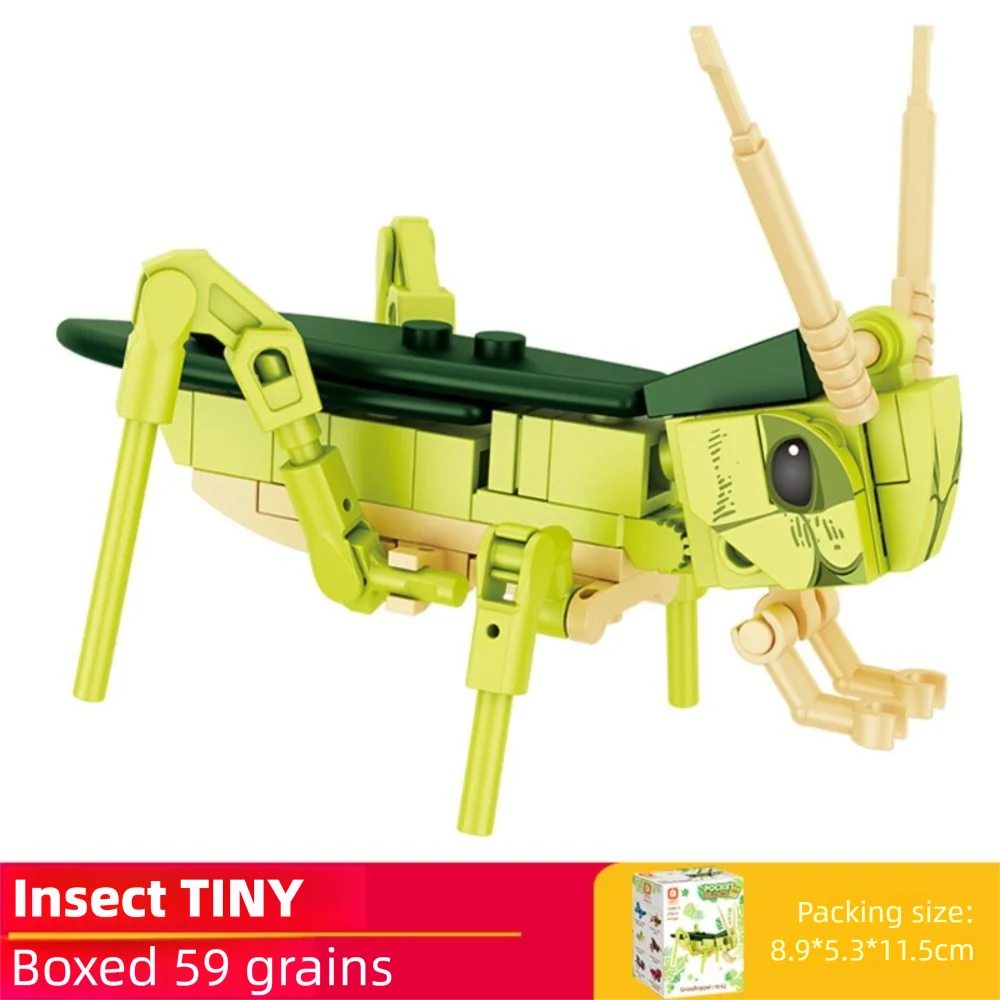 Puzzle Insekt Tiermodell Ameise Insekt Heuschrecke Libelle Montagemodell Geschenk