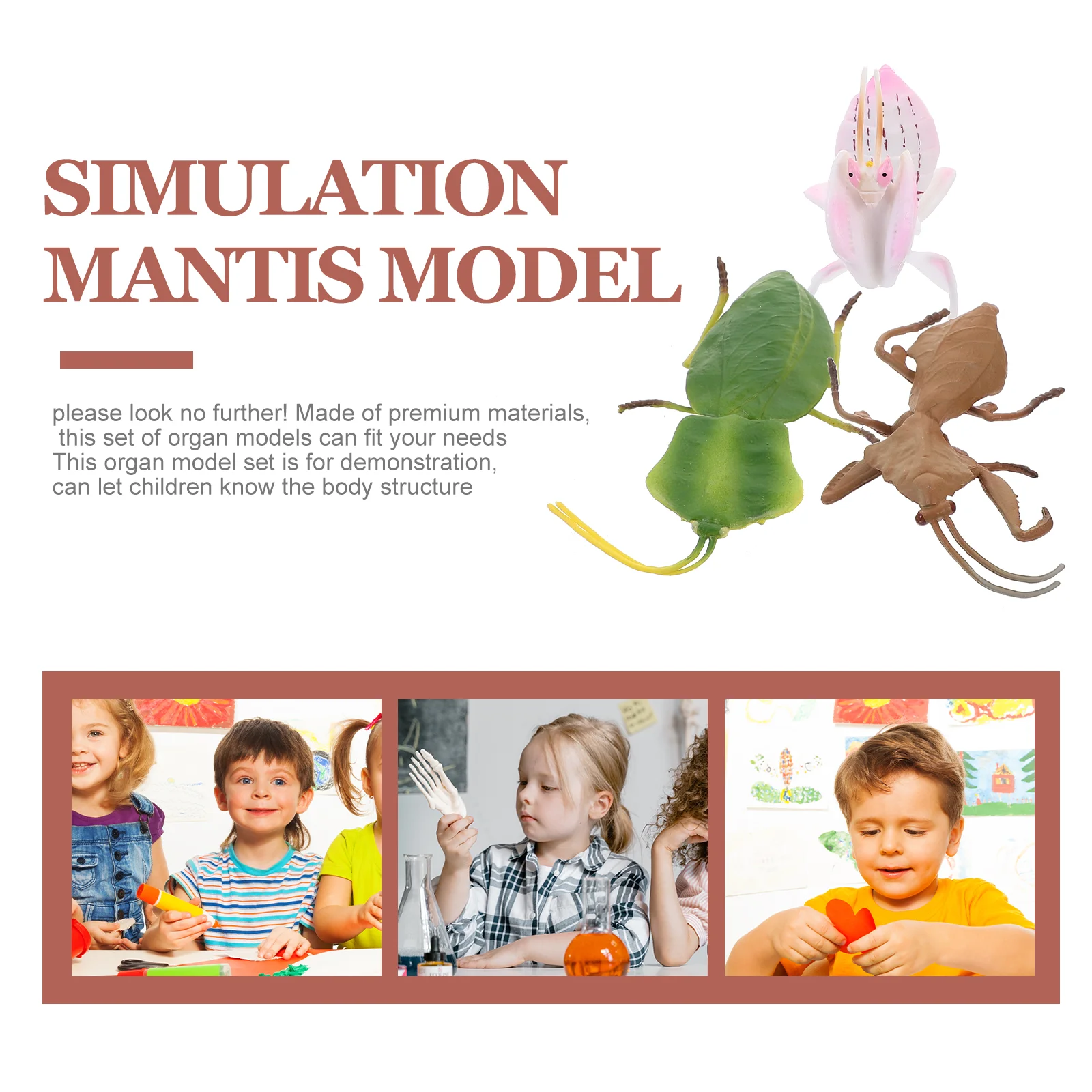 3-delig simulatie bidsprinkhaan model speelgoed kunstmatig kinderbeeldje meisje nep insect decor herkenning plastic