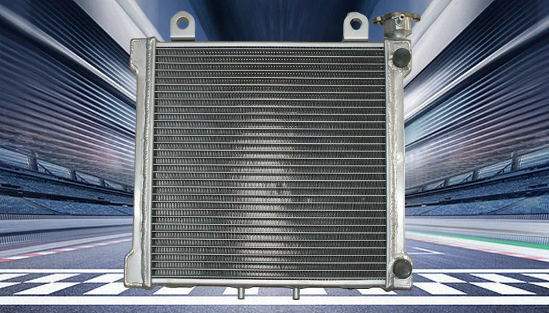 FOR Bombardier BRP Can Am DS 650 DS650 DS650X Baja Aluminum Radiator 01 02 2000-2007  2001 2002 2003 2004 2005 2006 00 01 02 03