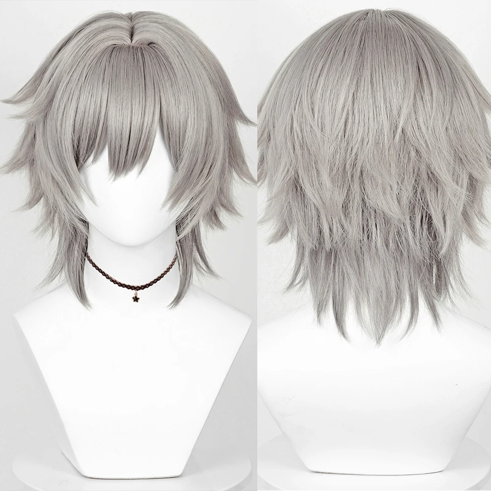 Short Straight Grey Synthetic Fluffy Wig with Bangs Heat Resistant Men Game Anime Cosplay Wig for Daily Party