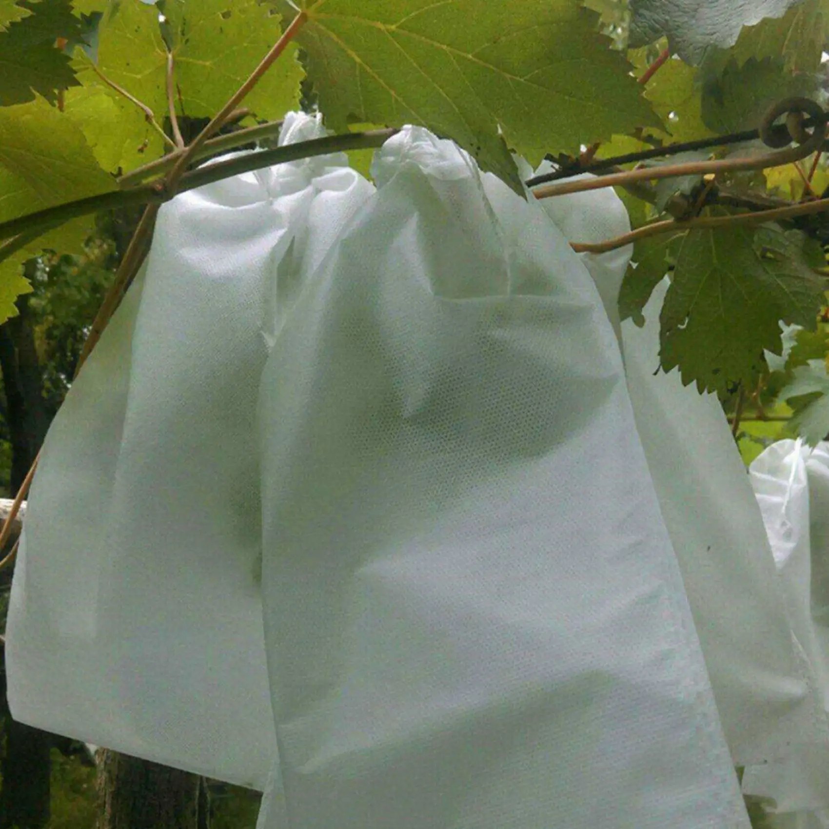 BHBD-300PCS Garden Plant Fruit Cover Protect Net Mesh Bag Against Insect Bird Pest