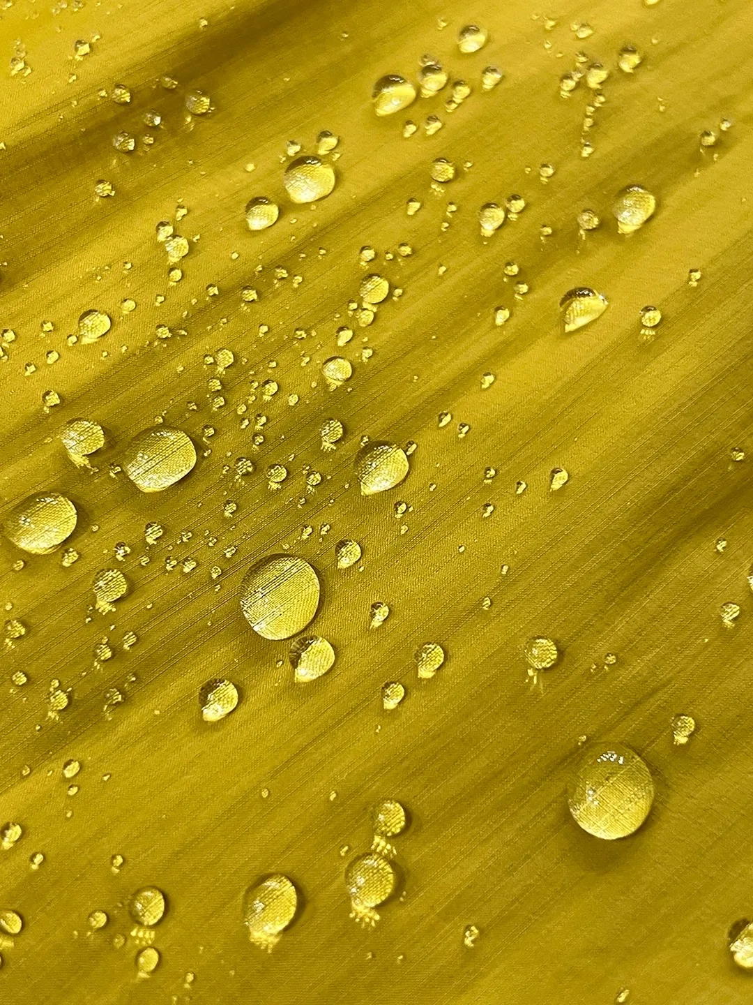 Cappotto casual con cappuccio lungo Sve da uomo leggero antivento impermeabile in cotone caldo Jaet Youth Faion Stand Fit