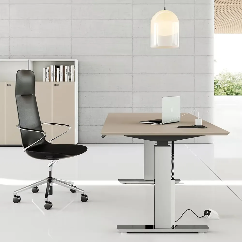 Basic Electric Height Adjustable Desk Office Home Gaming Computer Study Table Industrial Modern Optional Drawers Can Be Selected
