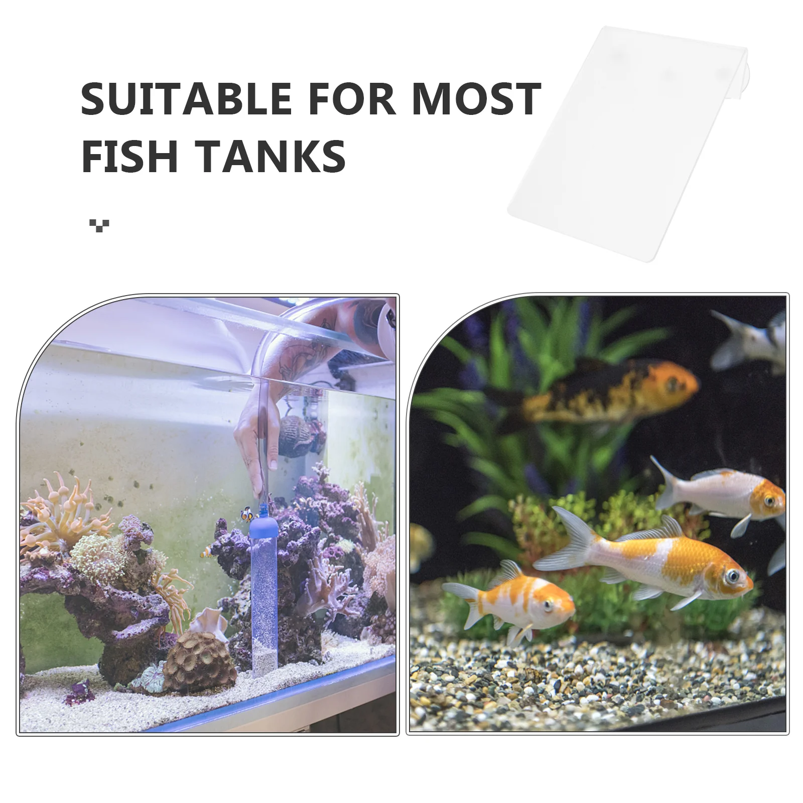 

Convenient Detachable Fish Spawning Smooth Surface Increase Reproduction Rate Safe Aquarium Ornament Fish Breeding Plate