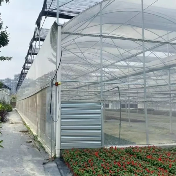 

Customized greenhouseTomato Greenhouse Frame Cheap Agricultural Multi-span Plastic Film Greenhouse