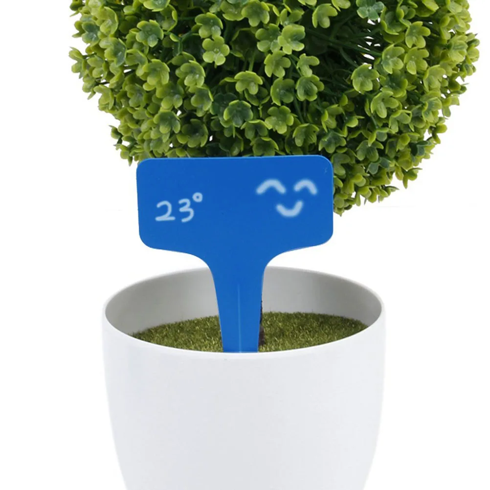 

100pcs 6*10Cm Blue Plastic Plant Labels Reusable Uv Resistant Matte Finish For Garden Nursery Succulent Markers Plastic Garden