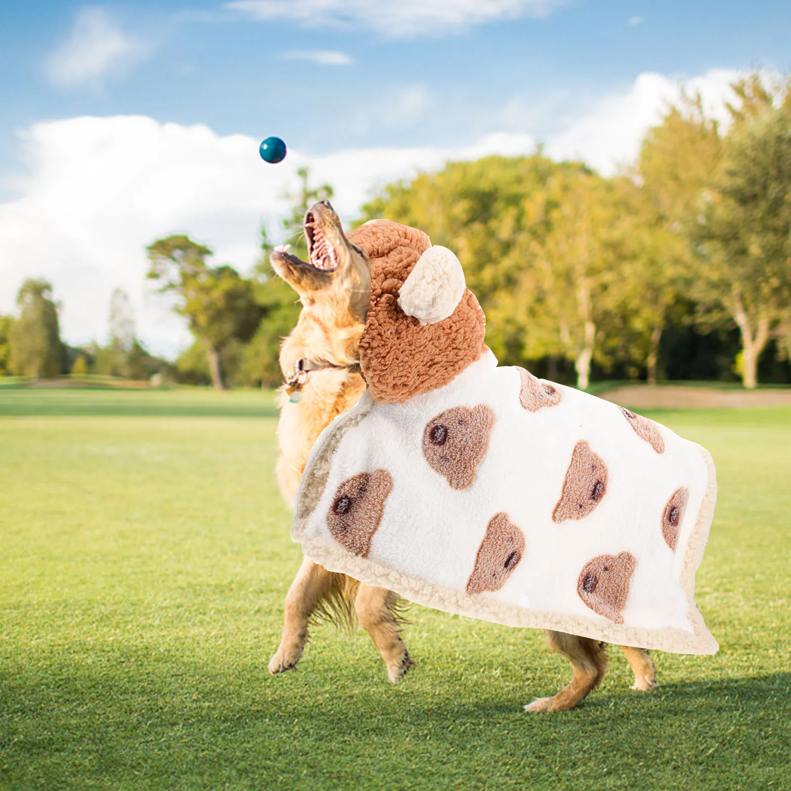 

Dog Bathrobe Cute Cartoon Pet Cloak For Small Dogs Drying Puppy Robe Water Absorbent Pet Towel Christmas Party