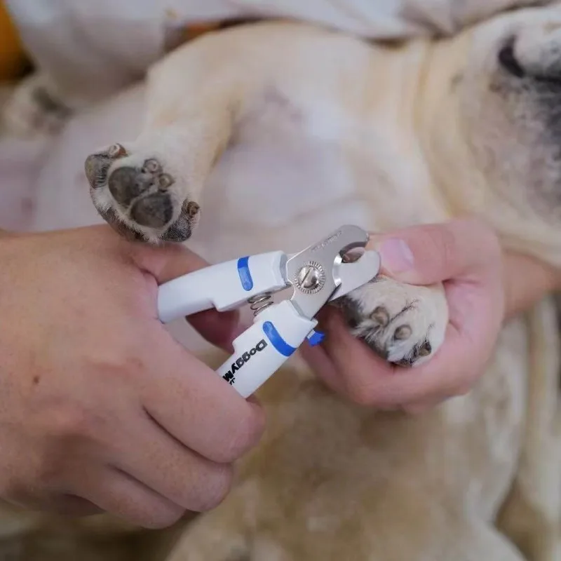 2026 New Pet Nail Clipper Cutter Tool, 2‑Styles Stainless‑Steel Grooming Trimmer for Small Medium Dogs Cats Daily Claw Care