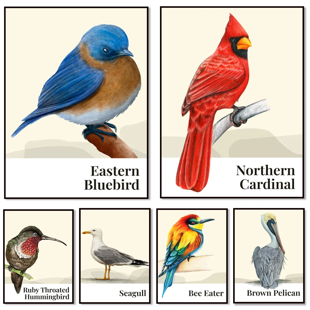 Purple Finch, Bee-eater, Northern Wheatbird, Ruby-throated Hummingbird, Flamingo, Seagull, Brown Pelican, Gullbird Bird Poster
