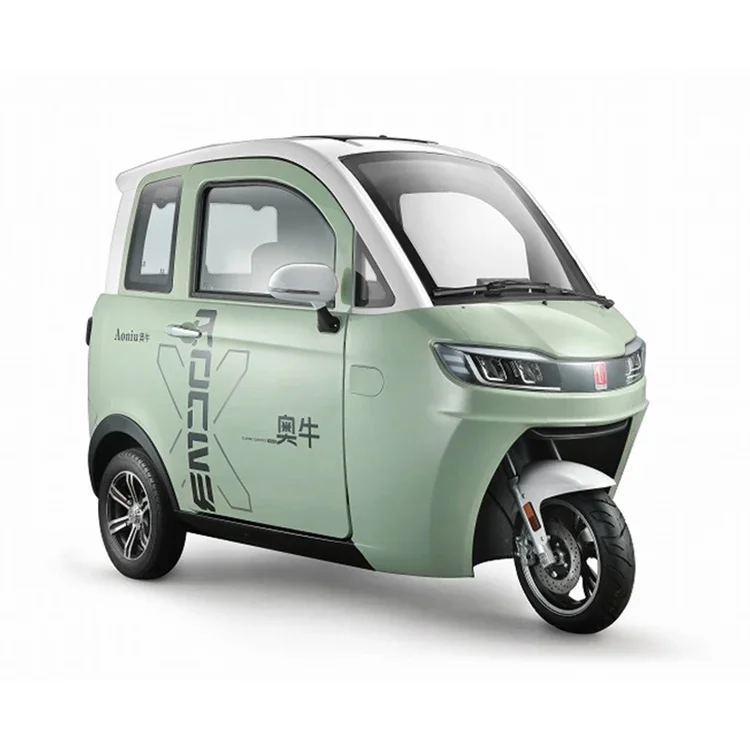 Eec Full Enclosed Adult 3Wheel Electric Tricycle For   Scooter  With Roof Mid Drive  Trike