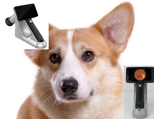 Veterinária Portátil Fundus Camera Retinal Não-midriática Outro Instrumento