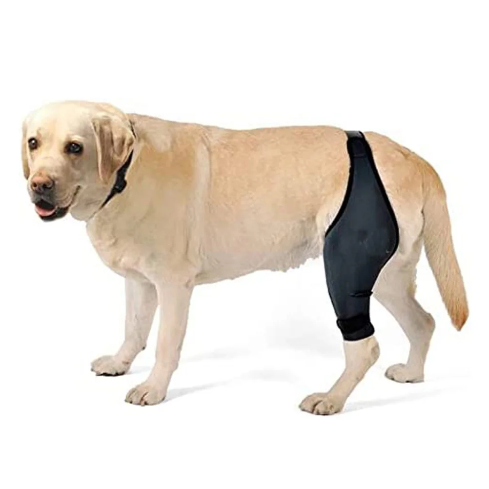 

Dog Foreleg Brace Pets Comfortable Knee Protector Paw Hindleg Cover Sling Large Dogs