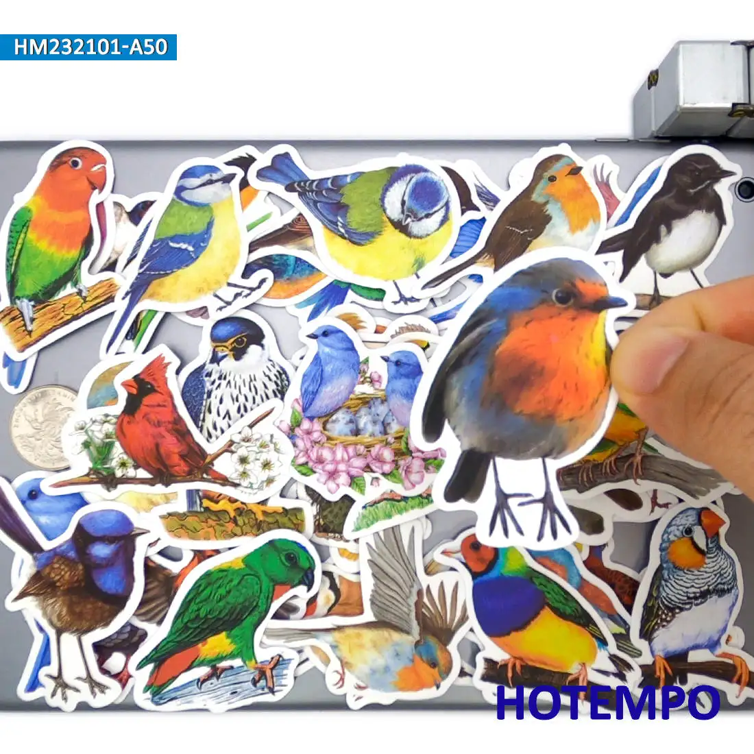 20/30/50Pieces Cute Bird Watercolor Style Colorful Graffiti Animal Stickers for Kids Scrapbook Luggage Bike Phone Laptop Sticker