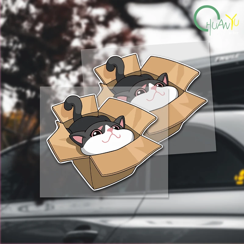 Box Cat Waterproof Sticker Cute Anime Car Decals Vinyl Stickers for Auto Window Bumper Windshield Car Decor Accessories