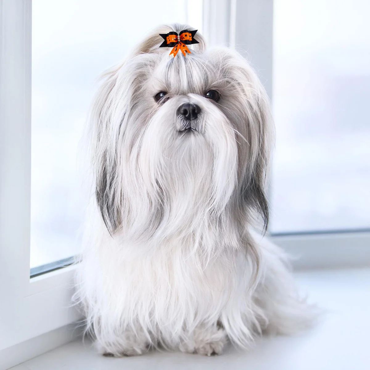 

10Pcs Pet Headdress Halloween Dog Headwear Stylish Colorful Pet Rubber Bands Festival Party Accessories Headdress