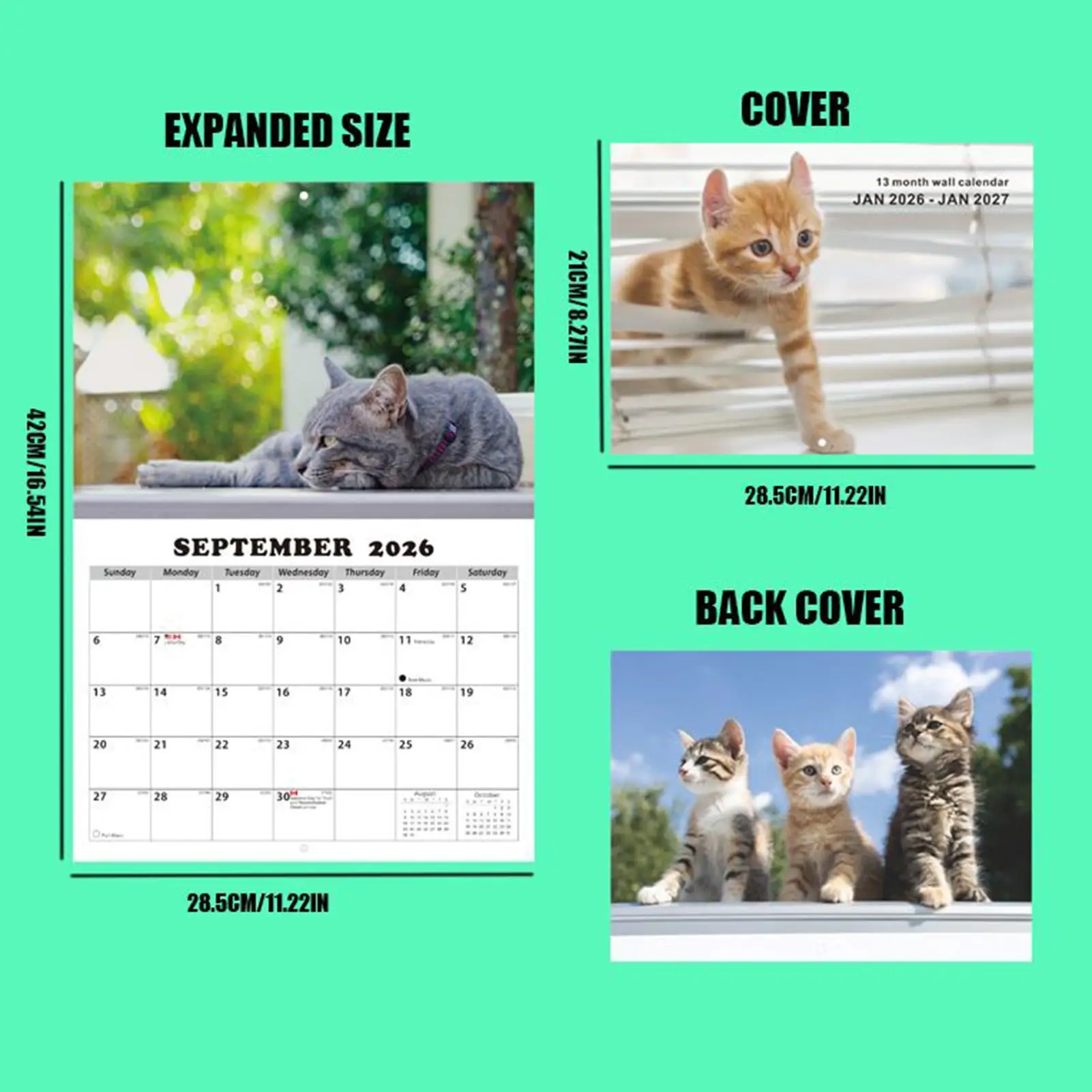 2026 Cat English Calendar 13-Month Cat Theme Planning Calendar Decoration For Students Teachers Office Classroom School