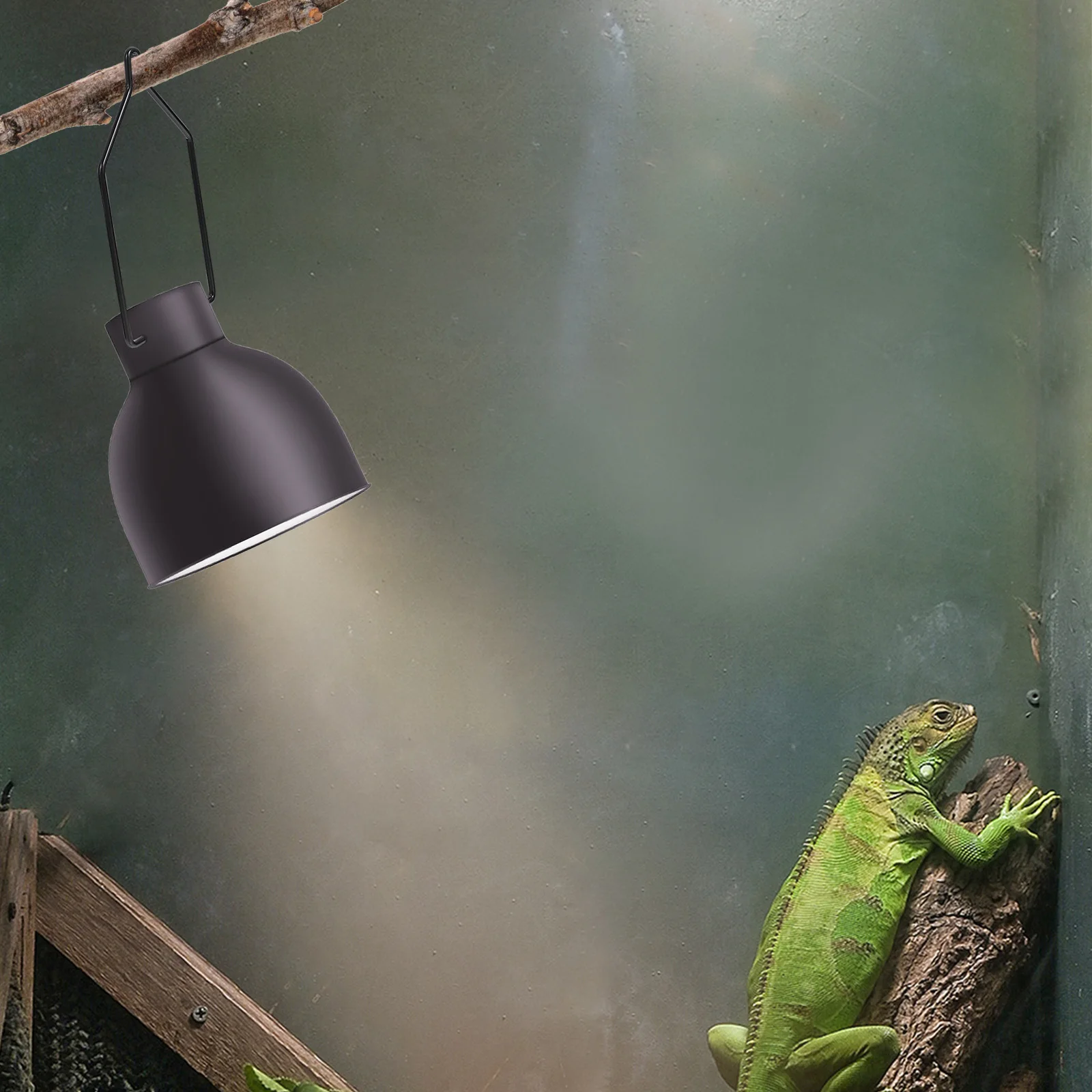 

6 pcs Reptile Lamp Clips Metal Holder Durable High Temperature Resistant Light Clamps for Plants Amphibians Reptiles Pet Turtle