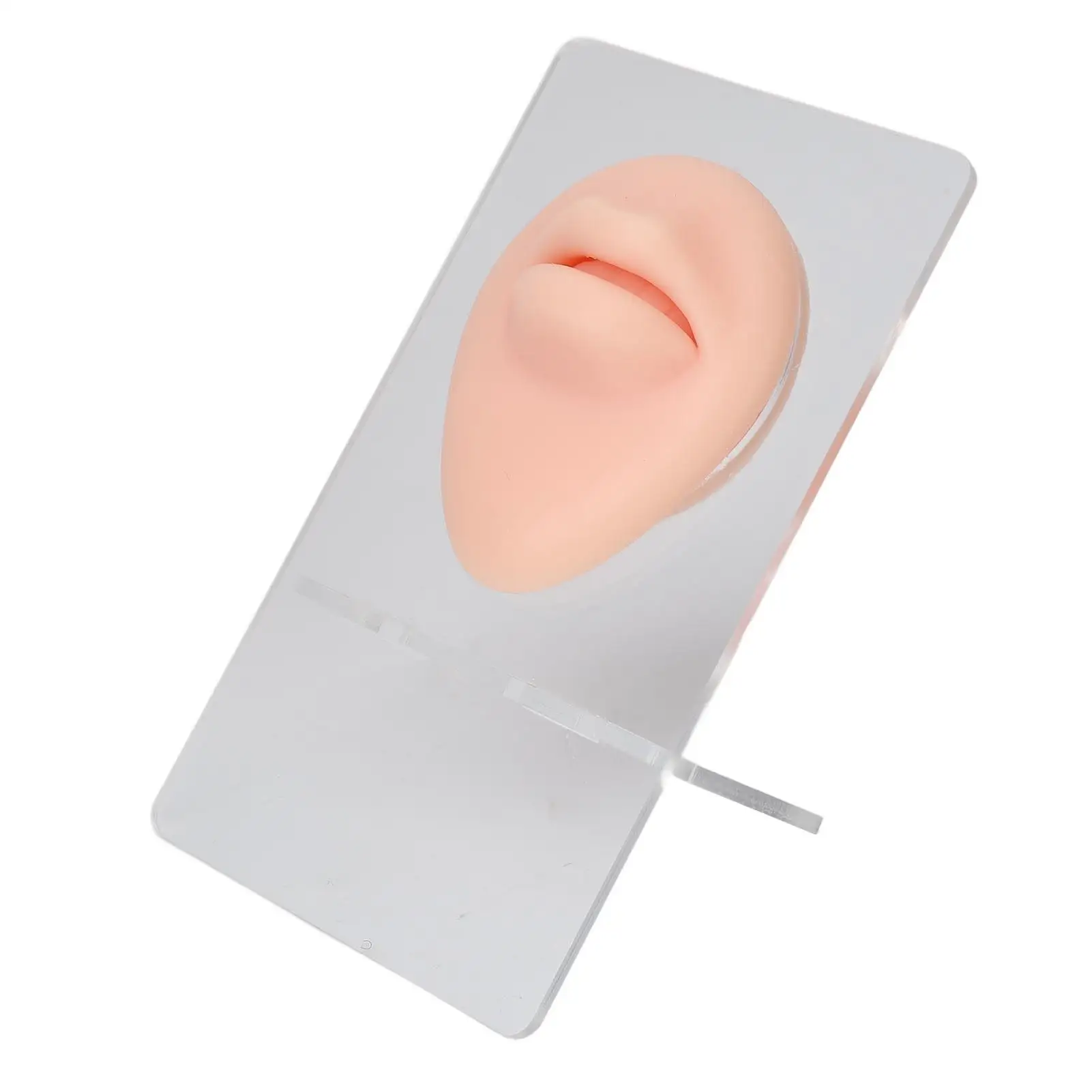 3D Silicone Tattoo Lips Model - Improve Skills, Easy to Clean & Use