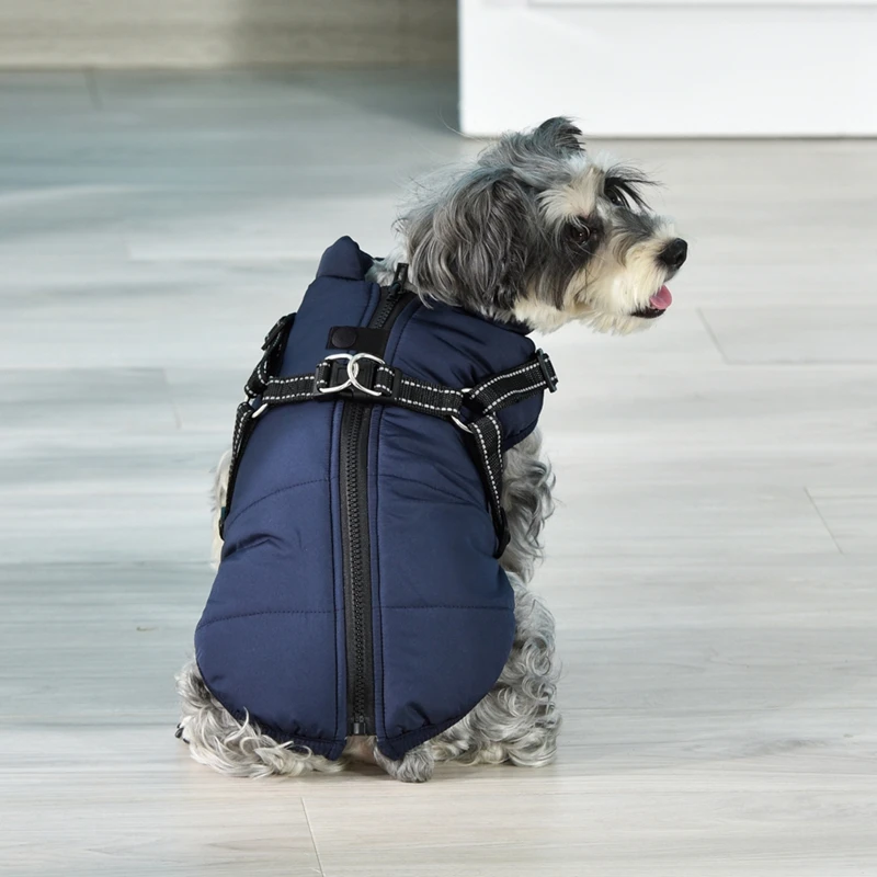 Thumbnail 4 - #31 Trending Waterproof Puppy Jackets Right Now