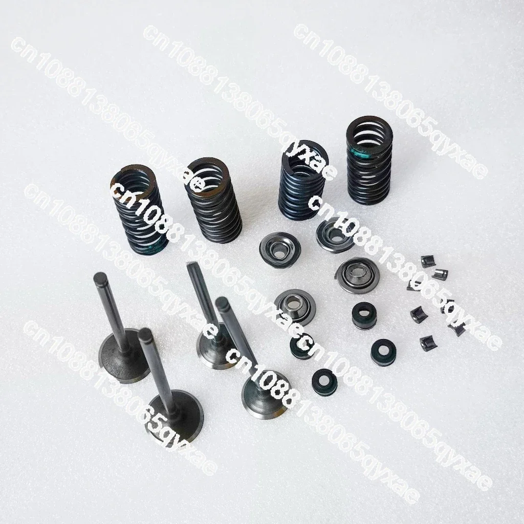 Valves and Spring Kit for Daytona 190 or 212 4 Valves Engines