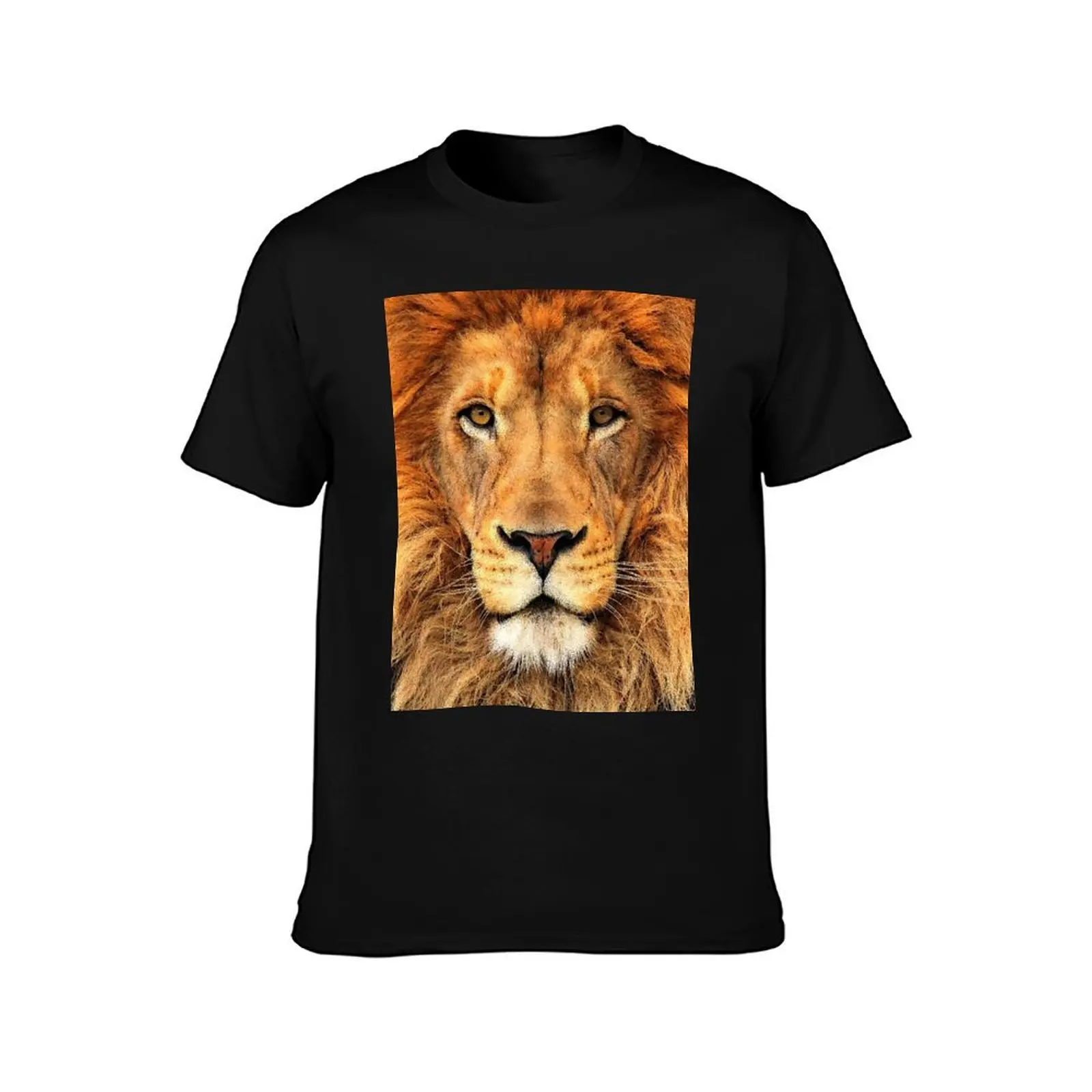 Beautiful Lion Face Wild Cat Glare T-Shirt anime t shirts for man T-Shirt