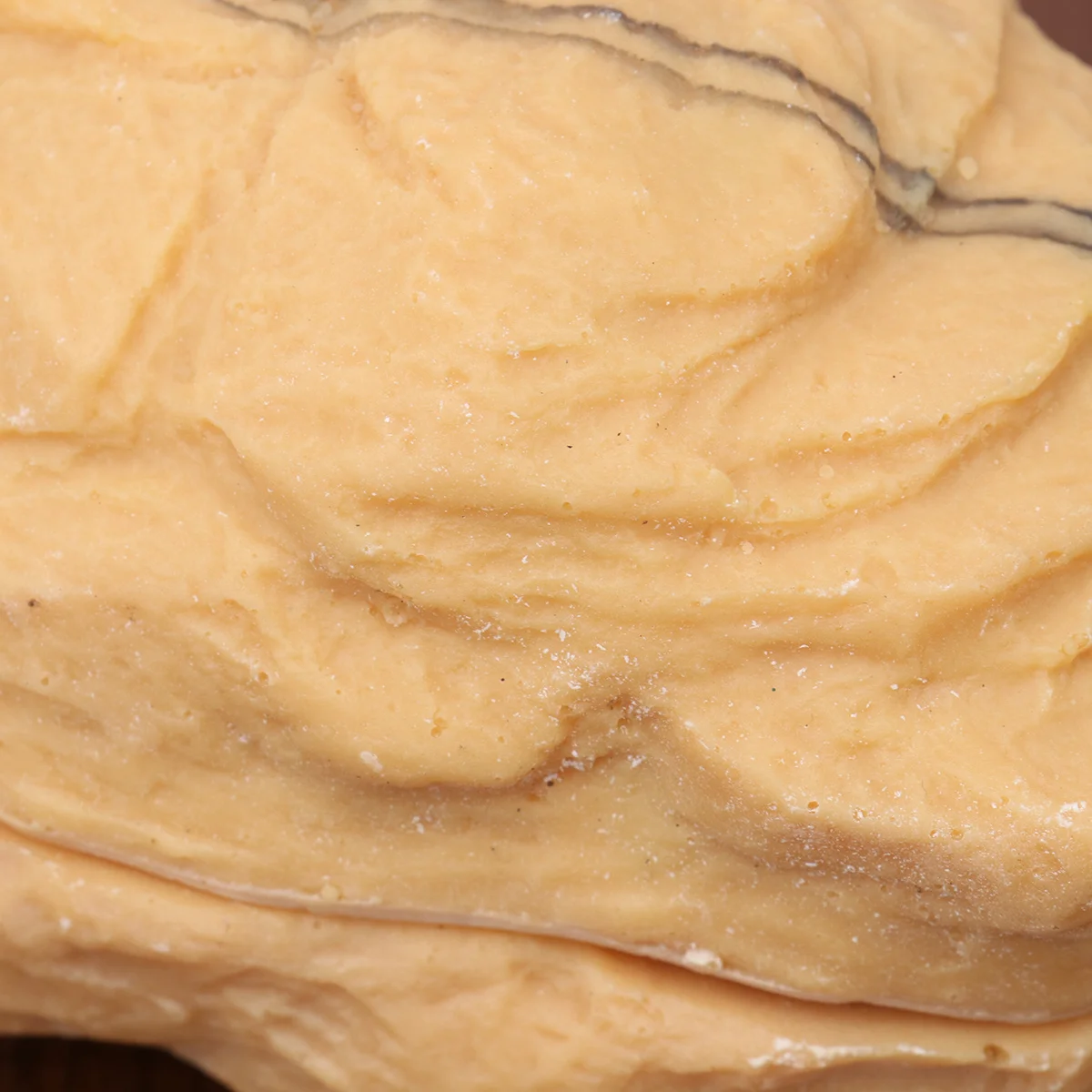 مأوى زاحف لمخبأ الزواحف، تصميم الغطاء السفلي العلوي، تكامل مثالي، منظر طبيعي آمن، إخفاء مريح، حجم البيئة الدافئة