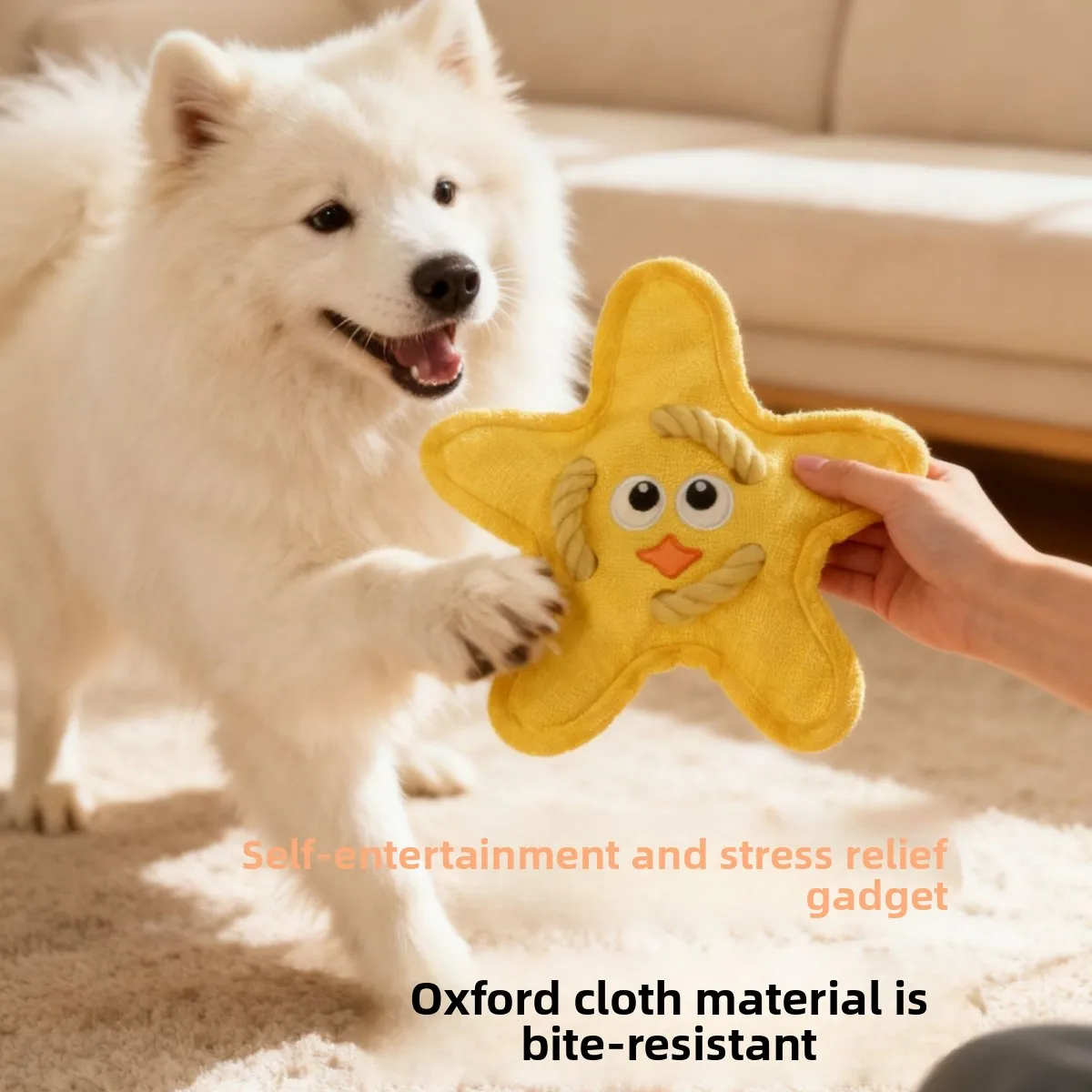Fliegende Scheibe Hundespielzeug mit Seil, quietschend, aus Oxford-Gewebe, interaktives, bissfestes Kauspielzeug für Haustiere