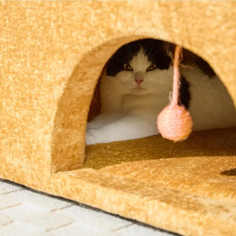 كرسي بذراعين كبير الحجم من الشنيل لغرفة المعيشة وصالة غرفة النوم