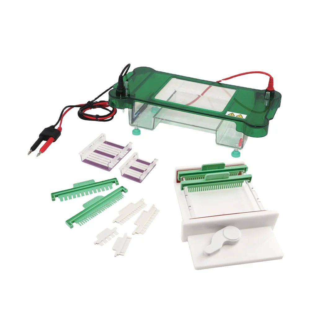 

Horizontal Electrophoresis Apparatus Gel Electrophoresis Tank