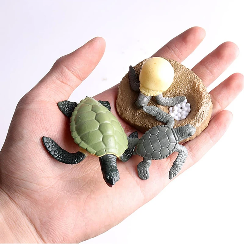 1set Growth Cycle of Animals And Plants School Classroom Teaching Aids Simulation Life Cycle Insect Plant Snail Moth Seed TMZ